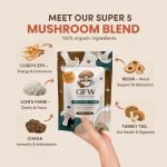 GFW 5-Mushroom Instant Coffee Latte – Clean Energy & Sharp Focus