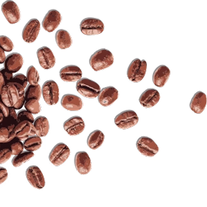 beans